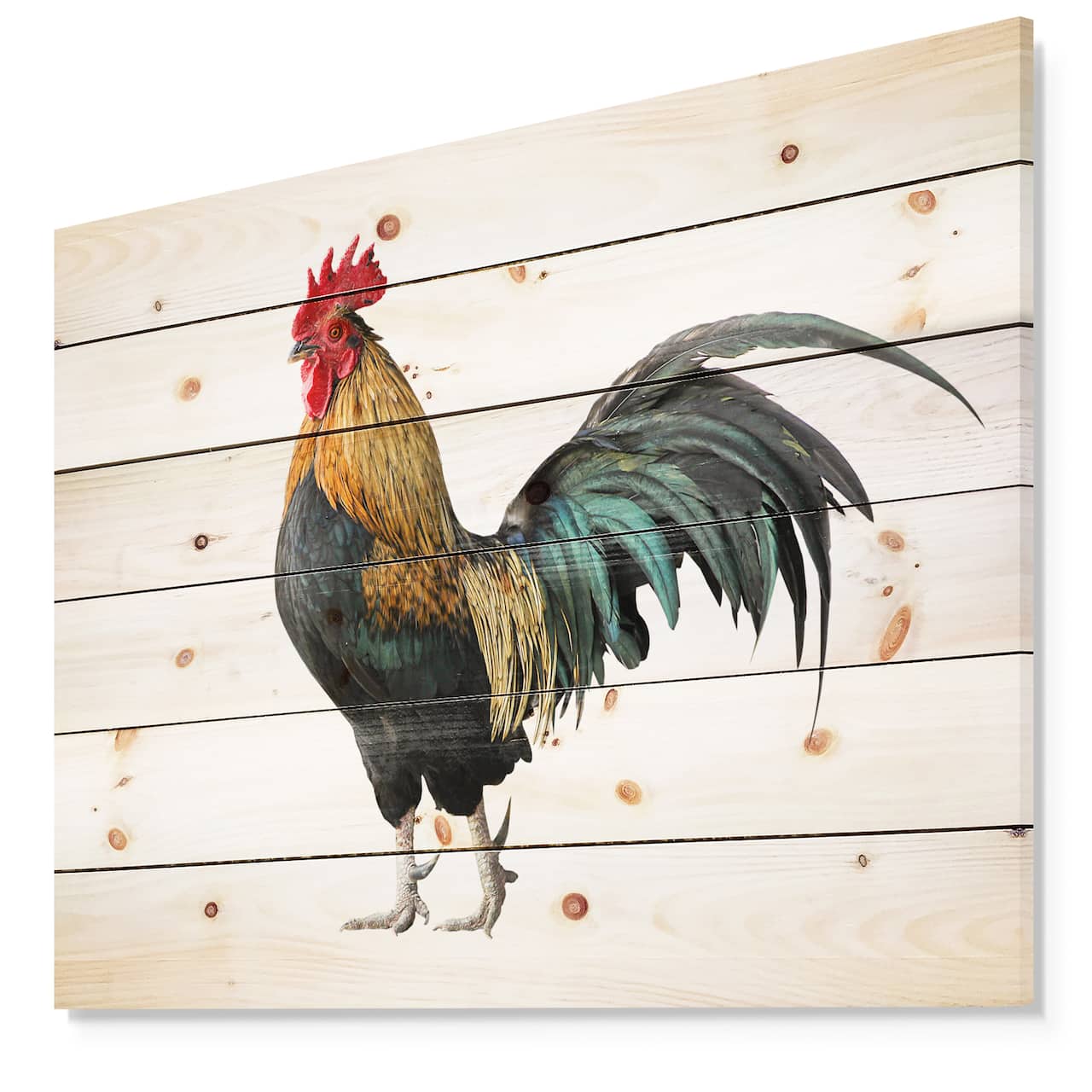 Designart - chicken rooster - Farmhouse Animals of Painting Print on Natural Pine Wood